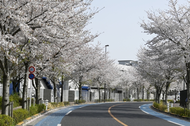 府中市にお住まいの方でホームページ制作にお悩みの方は、お気軽にご連絡ください。